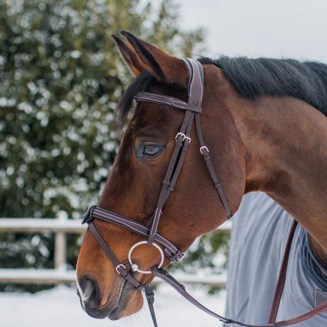 Replacement Noseband of ExionPro Fully Padded Snaffle Bridle with U Shaped Detachable Flash by Bridles & Reins -...