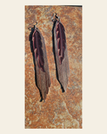 3D Printed Feather Leather Fringe Earrings Made in America on a warm cream background