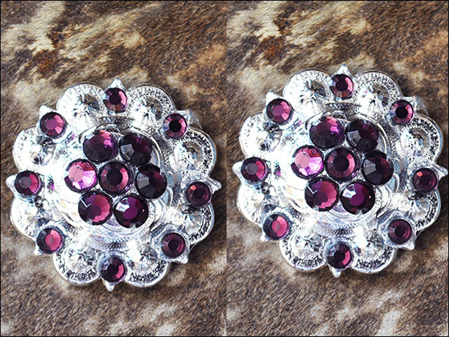 Amethyst Crystal Berry Headstall Saddle Tack Cowgirl Hilason