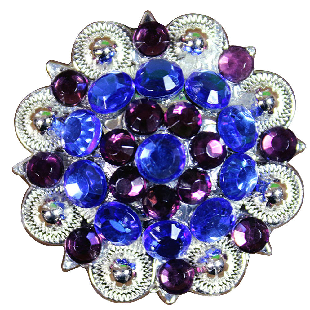 Hilason Blue Purple Crystals 1-1/49 Inch Berry Concho Rhinestone Tack