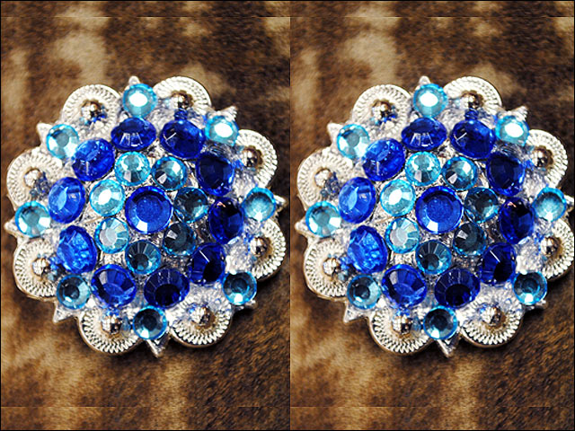 Hilason Turquoise Blue Crystals 1-1/4 Berry Concho Rhinestone Saddle Tack