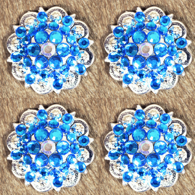 Capri Blue Ab Crystal Berry Headstall Saddle Bling Hilason