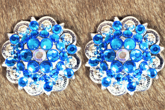 Capri Blue Ab Crystals Berry Headstall Saddle Tack Bling Hilason