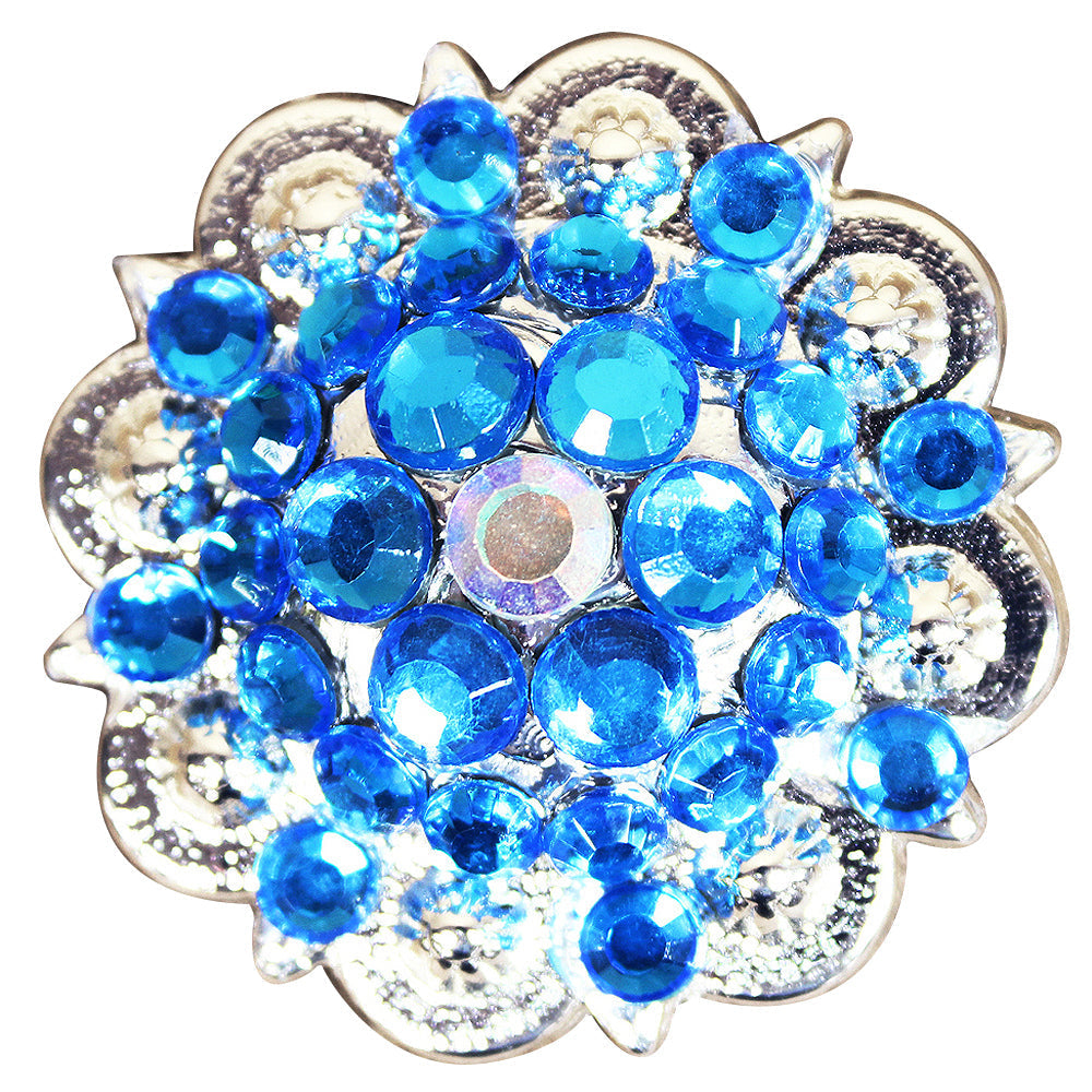Capri Blue Ab Crystal Berry Headstall Saddle Bling Hilason