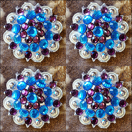 Capri Amethyst Crystal 1-1/4In Berry Tack Saddle Cowgirl Hilason