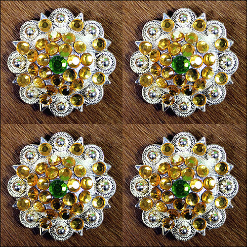 Gold Crystal 1-1/4In Berry Headstall Saddle Cowgirl Hilason