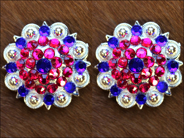 Blue Pink Crystal 1-1/4In Berry Headstall Saddle Hilason