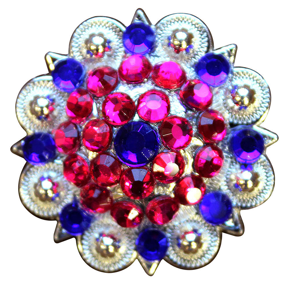 Blue Pink Crystal 1-1/4In Berry Headstall Saddle Hilason