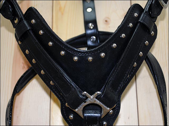 HILASON Genuine Leather Dog Harness Padded Heavy Duty & Comfortable Fit