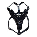 HILASON Genuine Leather Dog Harness Padded Heavy Duty & Comfortable Fit