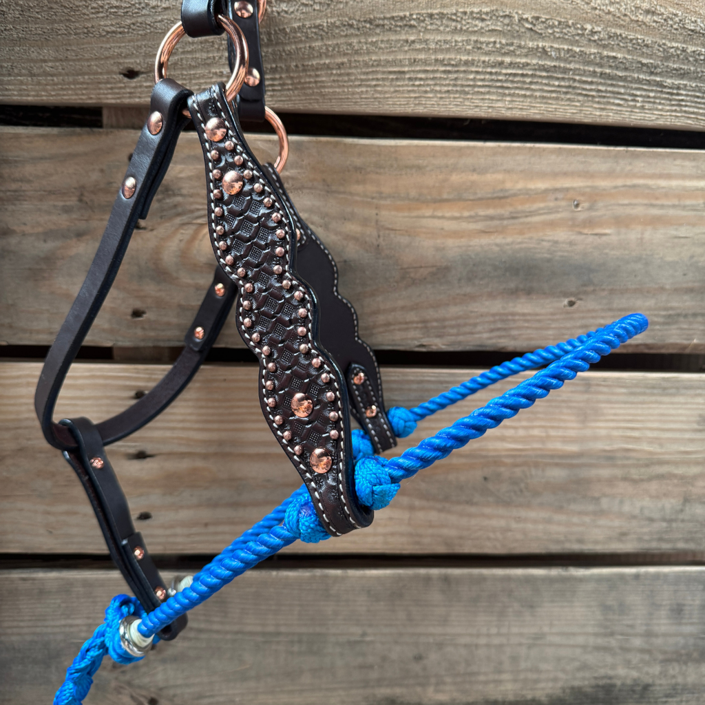 Blue Honeycomb Tooled Lariat & Leather Combo Halter — view 2