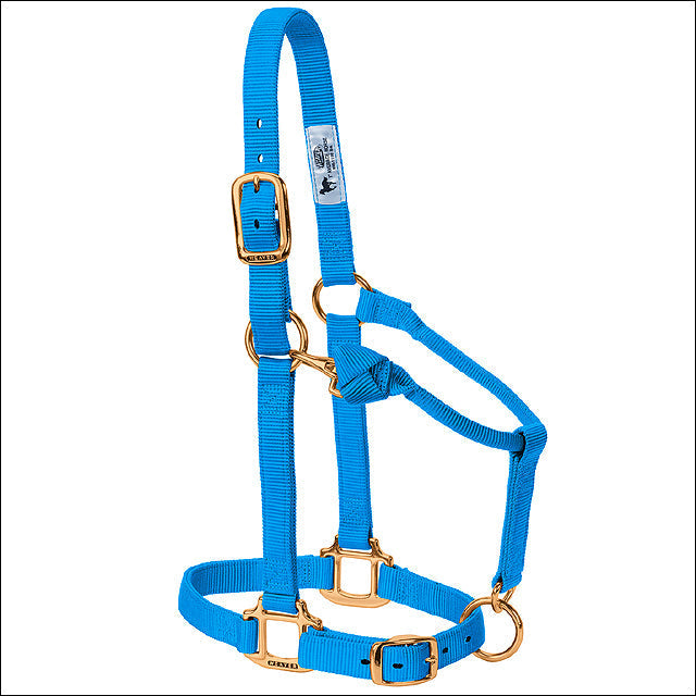 Hurricane Blue Weaver Adjustable Chin Throat Snap Halter 3/4" Weanling Pony