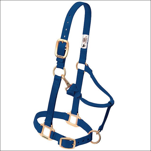 Navy Nylon Adjustable Chin Throat Snap Halter For Weanling Pony