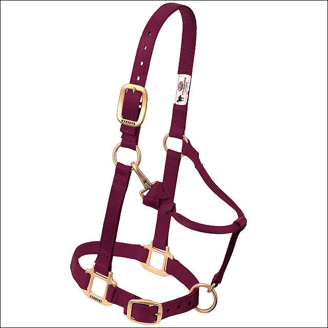 Weaver Burgundy Horse Nylon Heat Sealed Buckle Halter Adjustable Small