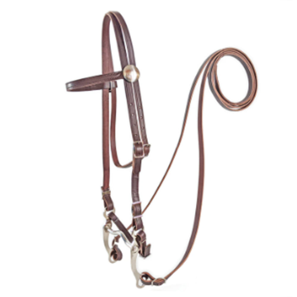 Hilason 5/8" Poly Horse Bridle with Reins w/ Durable Brown Headstall & Bit Set