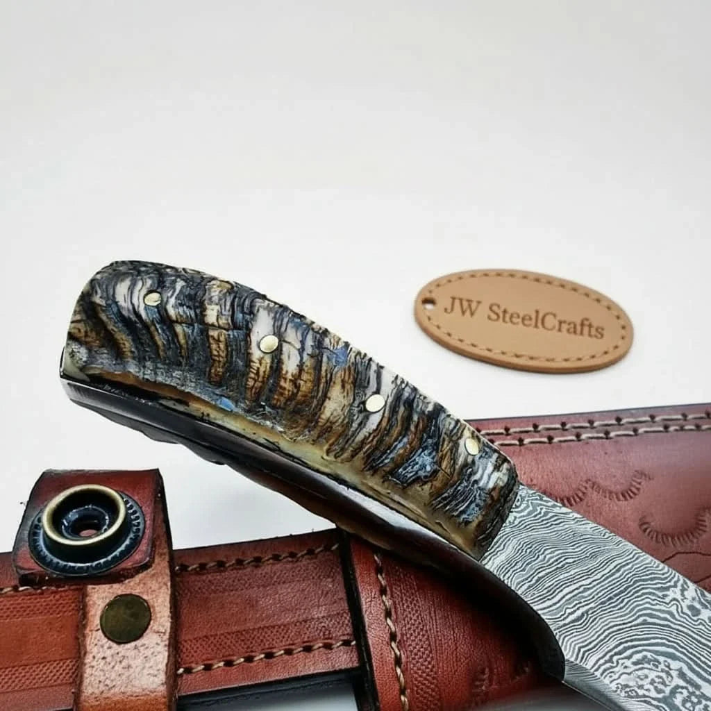 6 Inch Damascus Steel Skinner Knife with Ram Horn Handle and Leather Sheath