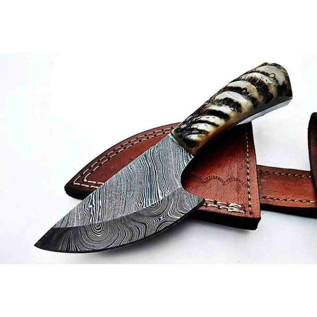 6 Inch Damascus Steel Skinner Knife with Ram Horn Handle and Leather Sheath