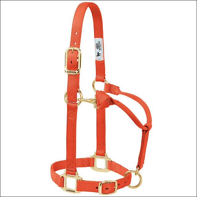 Weaver Nylon Heat Sealed Brass Buckle Halter Adjustable Small Horse Orange