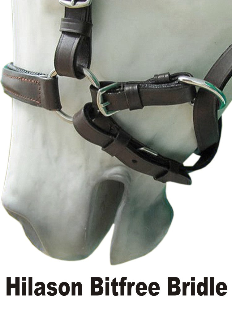 Hilason English Bitless Bridle - Full Grain Leather with Reins