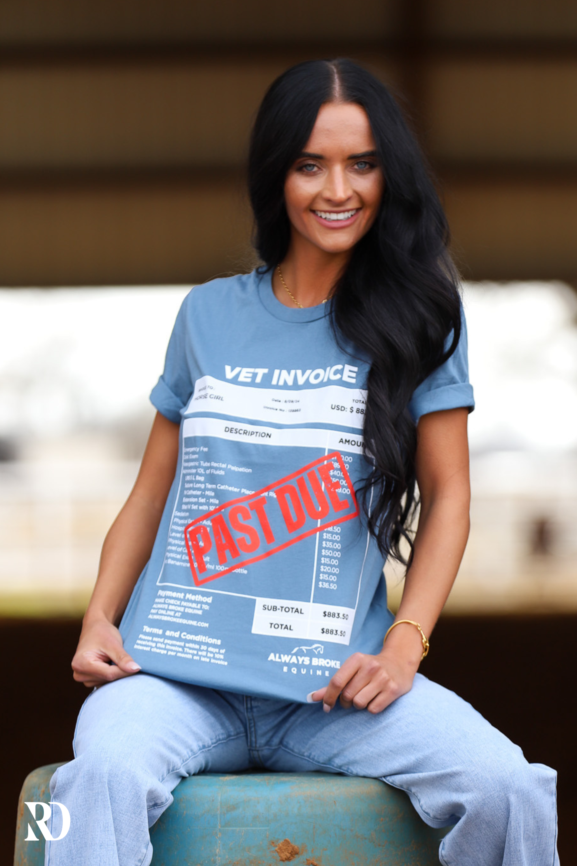 Past Due Vet Invoice Tee