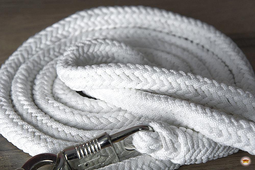 Hilason Horse Riding Poly Lead Rope Blue Tan  1" X 9 Ft.