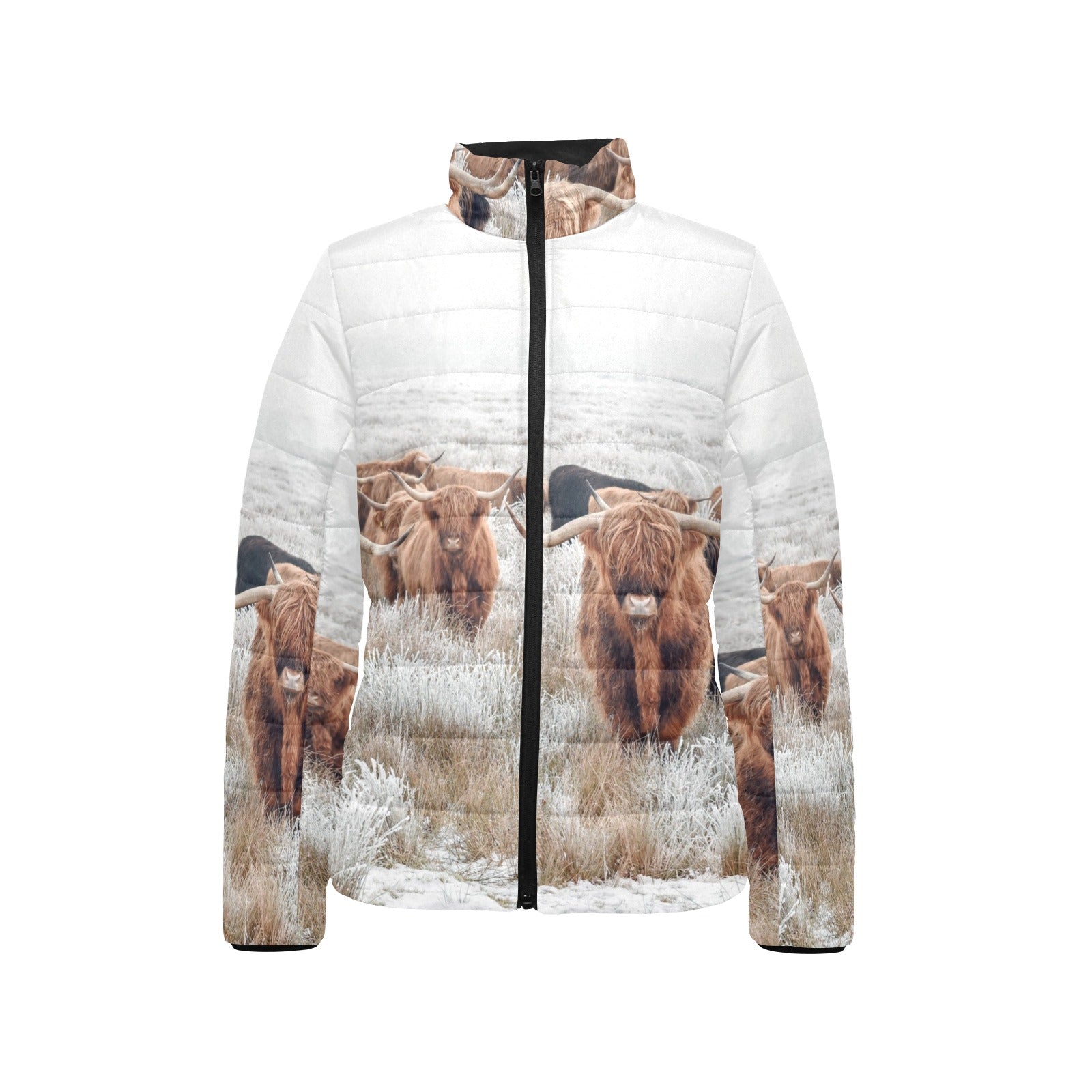 Highland Cow Herd Women's Puffy Bomber Jacket by Baha Ranch Western Wear - product image 3