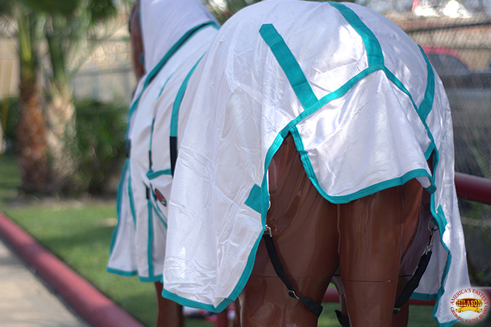 HILASON Horse Fly Sheet - Summer Spring UV Protection Mesh Bug Mosquito FlySheet for Horses | Fly-Sheet