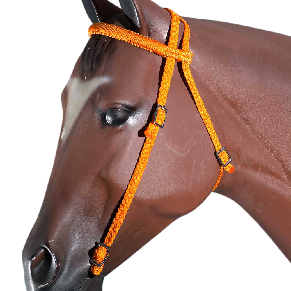 Horse Bridle Headstall Flat Braided Paracord By Hilason