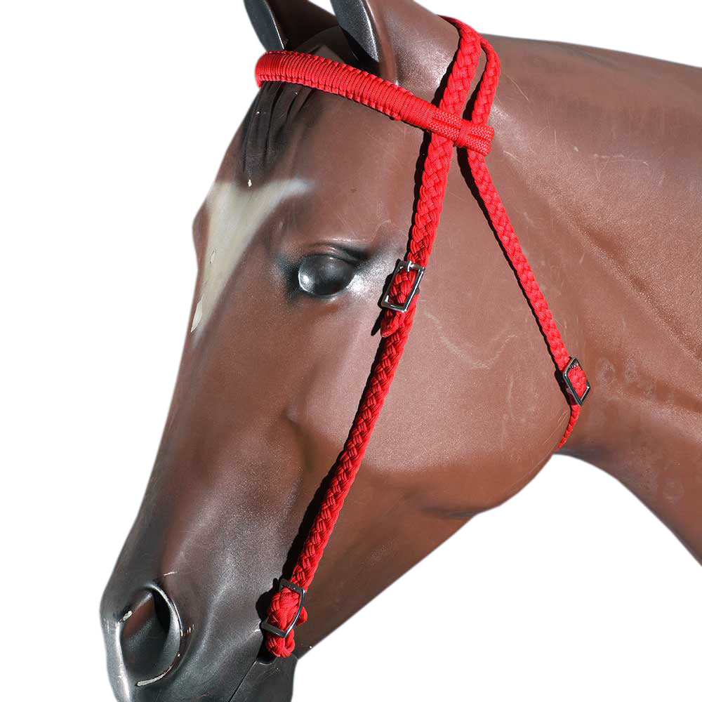 Horse Bridle Headstall Flat Braided Paracord By Hilason