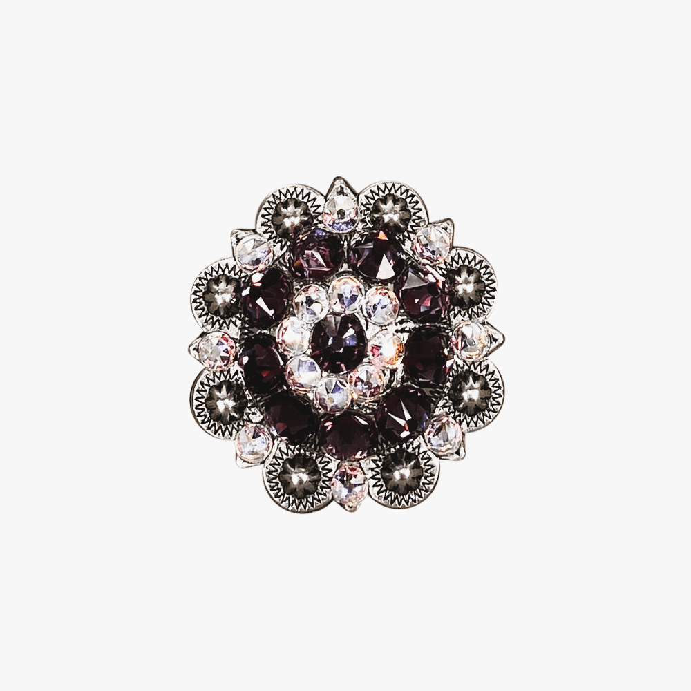 Amethyst & AB Antique Silver 1.5" European Crystal Concho