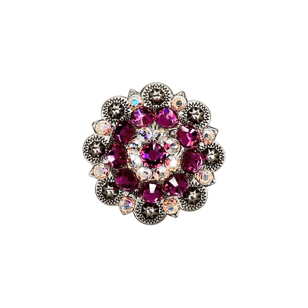 Fuchsia & AB Antique Silver 1.5" European Crystal Concho