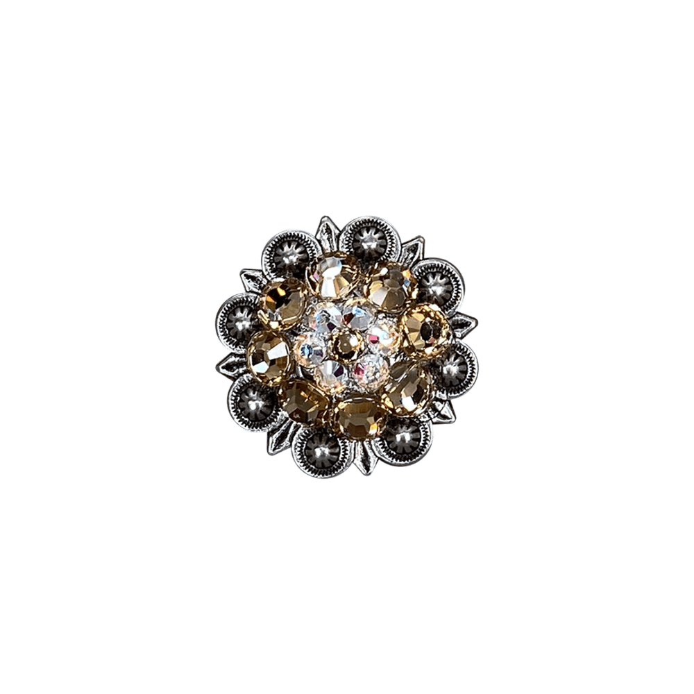Champagne & AB Antique Silver 1.25" European Crystal Concho