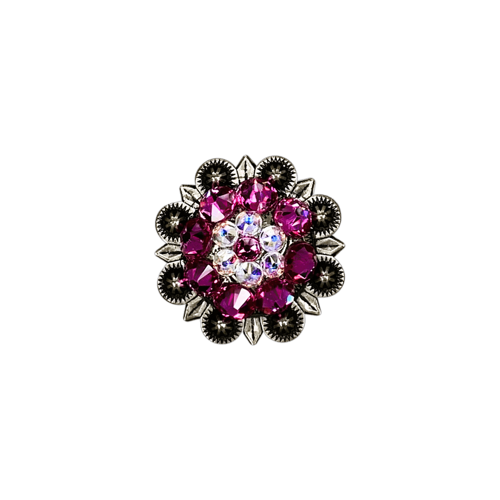 Fuchsia & AB Antique Silver 1.25" European Crystal Concho