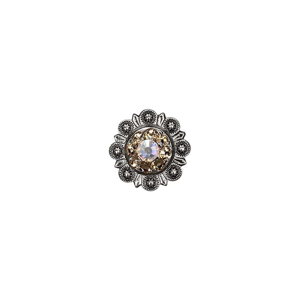 Champagne & AB Antique Silver 1" European Crystal Concho