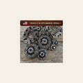 Antique Silver Jet - AB Crystal Conchos | Sizes 1"- 3" | Buckles | Saddle Set | Leather Rosettes | Slide on a warm cream background