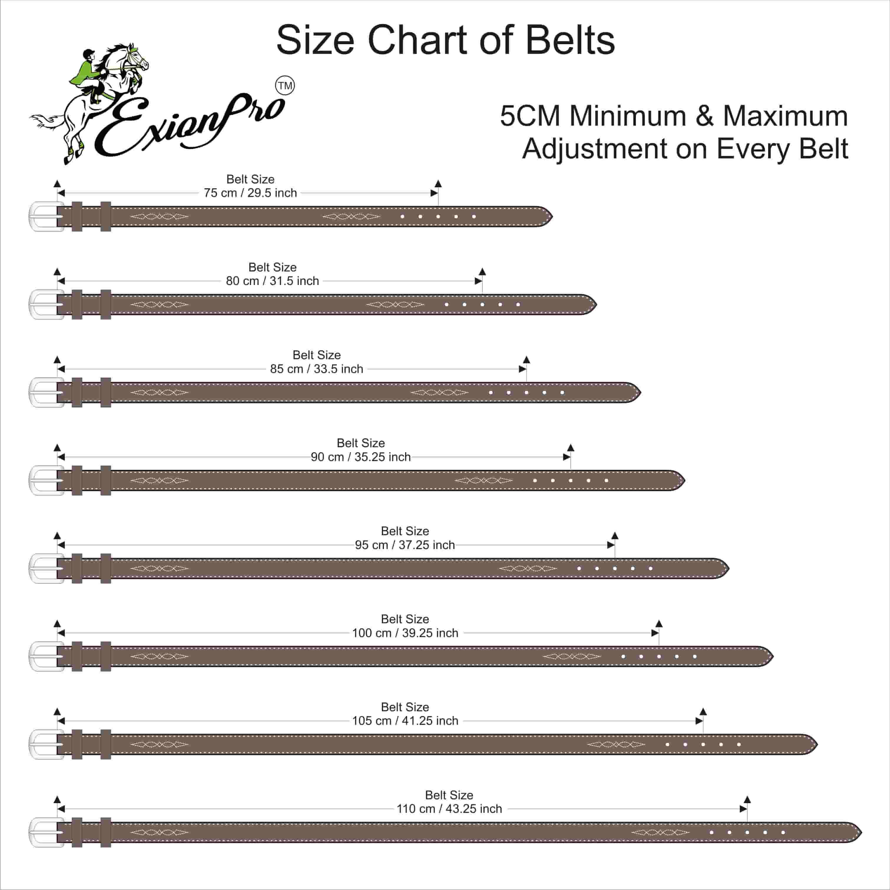 ExionPro Brass Clincher Belts by Bridles & Reins - alternate view 2