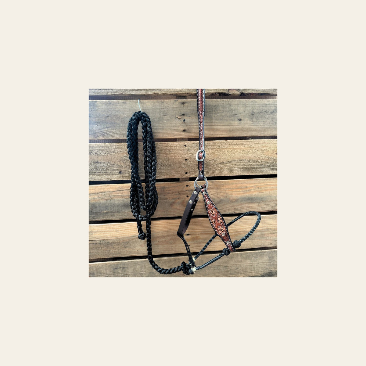 Black Flower Power Tooled Lariat & Leather Combo Halter on a warm cream background