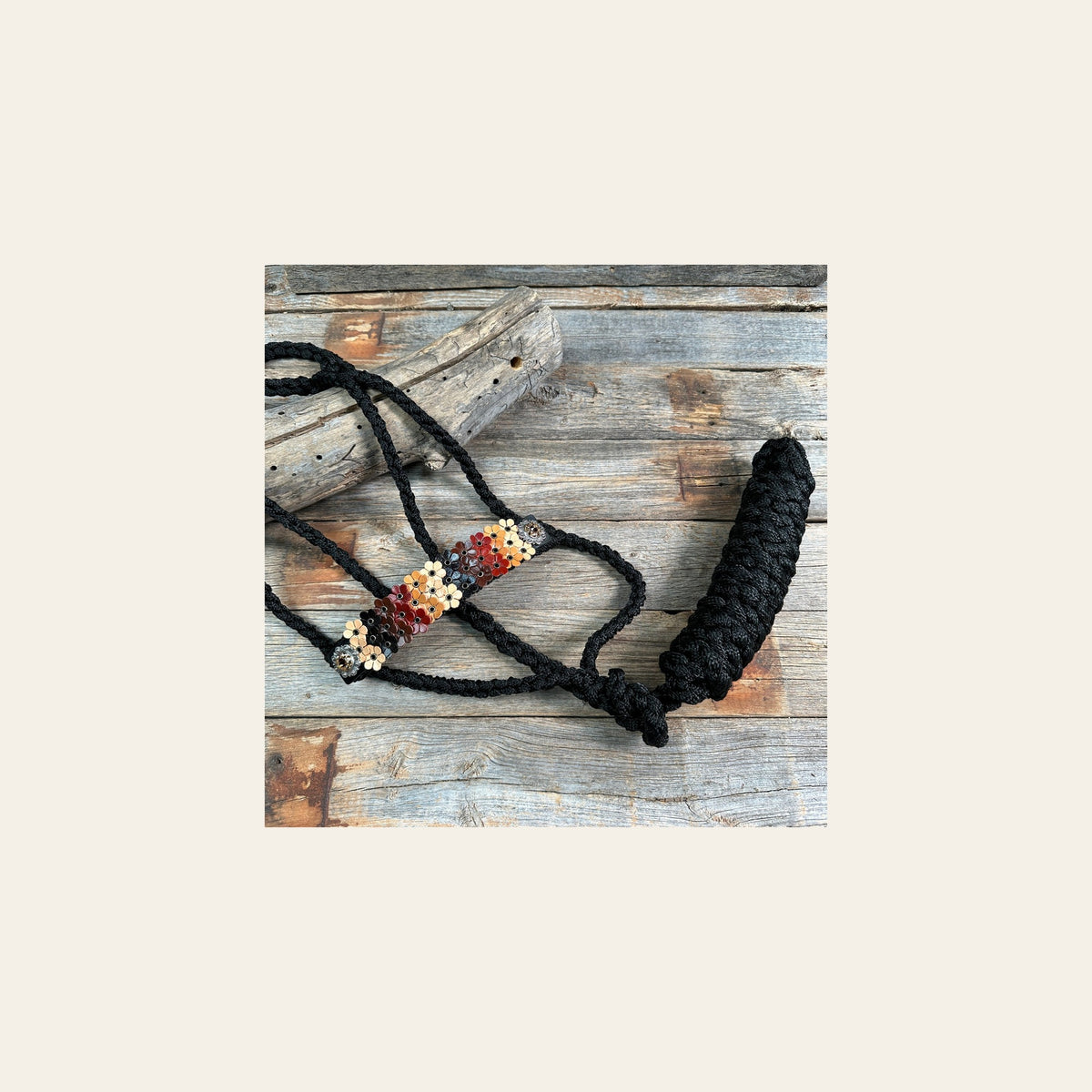 Black Mule Tape Halter - Multi Floral and Champagne #MT230 on a warm cream background