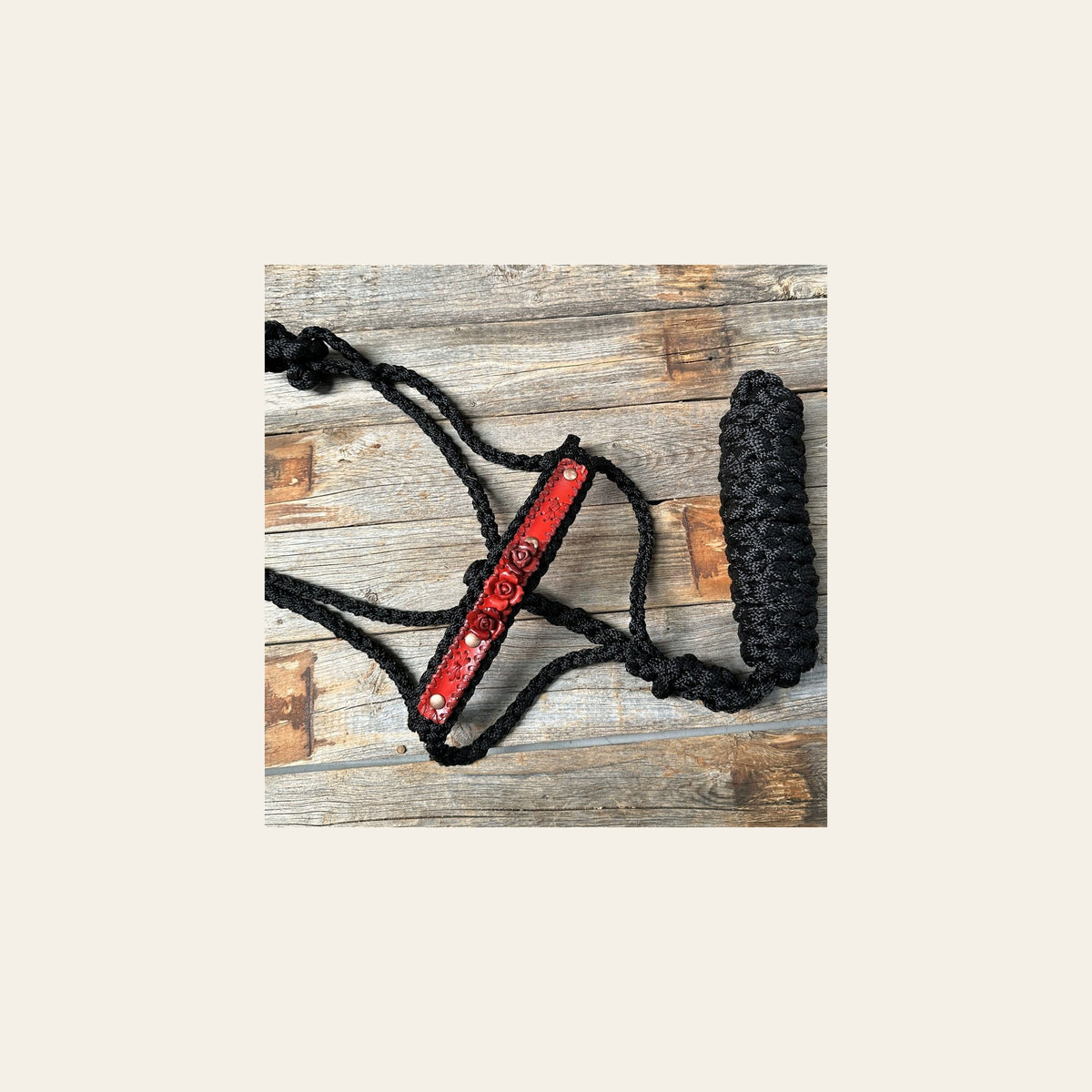 Black Mule Tape Halter - Red Roses #MT221 on a warm cream background