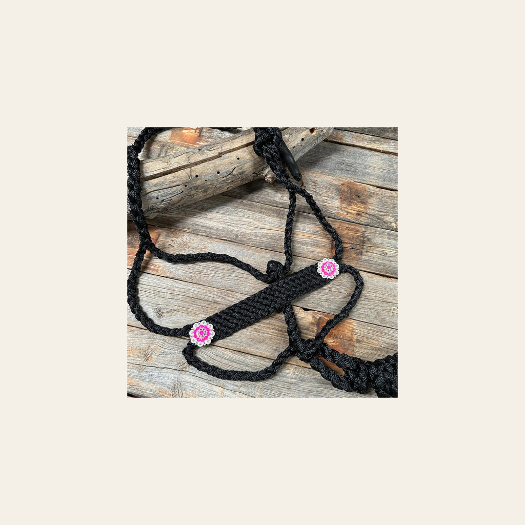 Black and Neon Pink Mule Tape Halter - #MT120 on a warm cream background