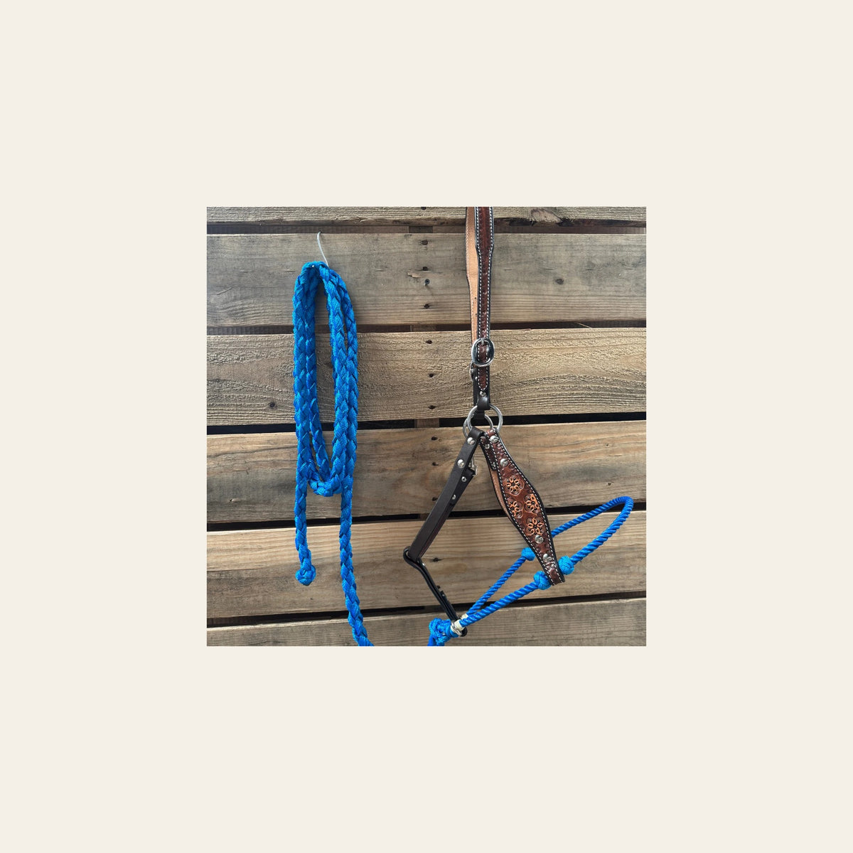 Blue Flower Power Tooled Lariat & Leather Combo Halter on a warm cream background