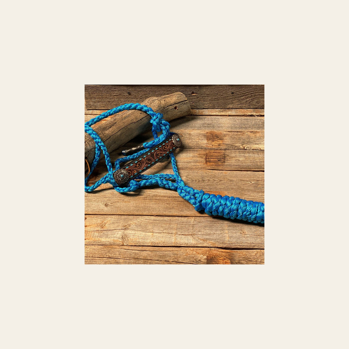 Blue Mule Tape Halter - Turquoise #MT209 on a warm cream background