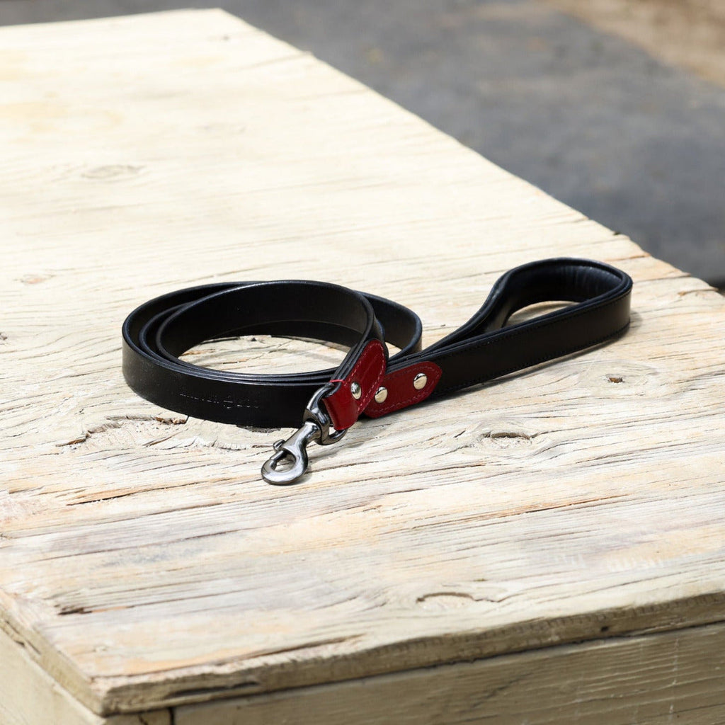Halter Ego® Breanna Dog Leash by Halter Ego®