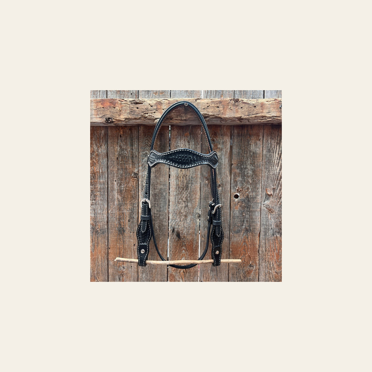 Black Cob - Gag Browband Headstall / Bridle- Short Cheeks on a warm cream background