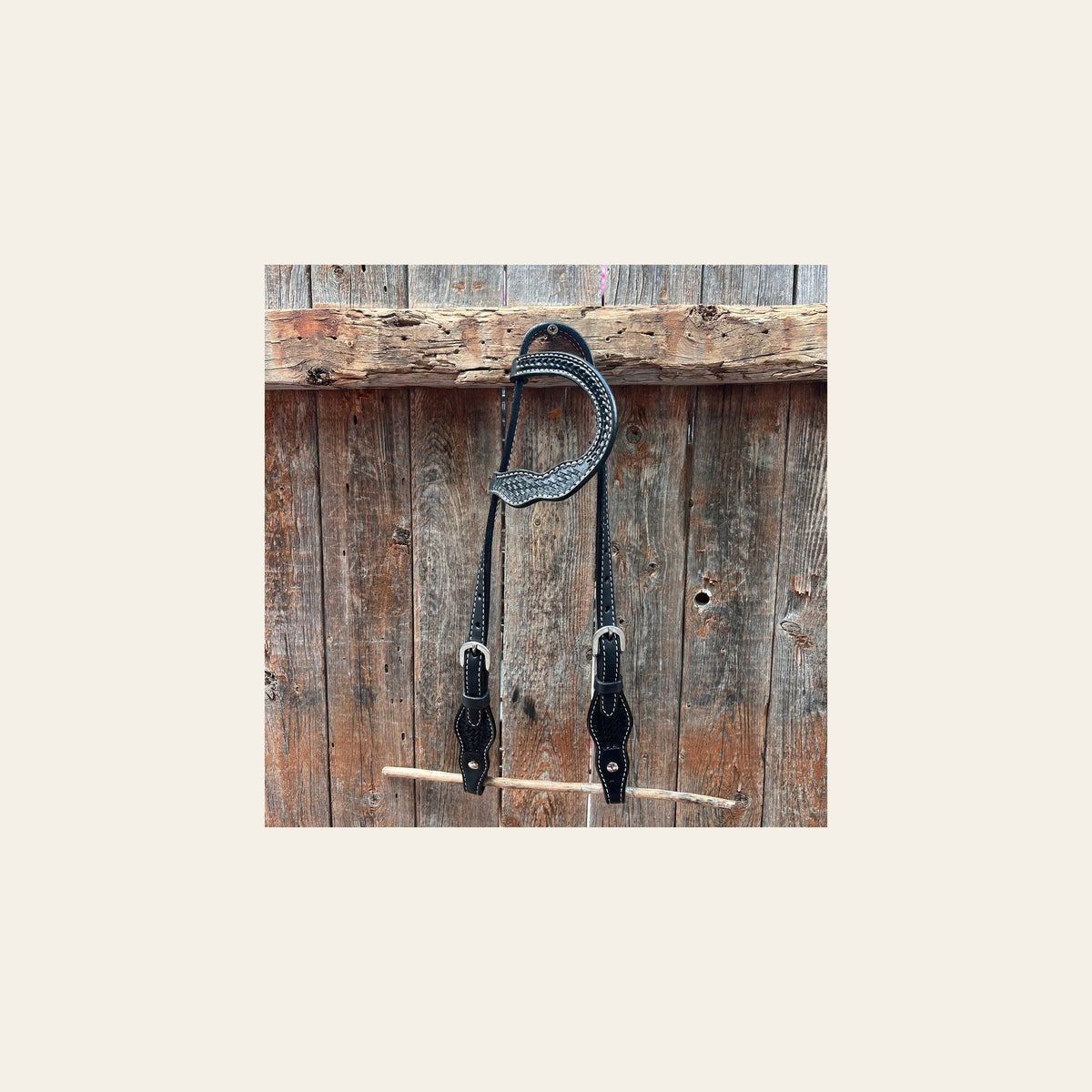Black Cob - Gag One Ear Headstall / Bridle- Short Cheeks on a warm cream background