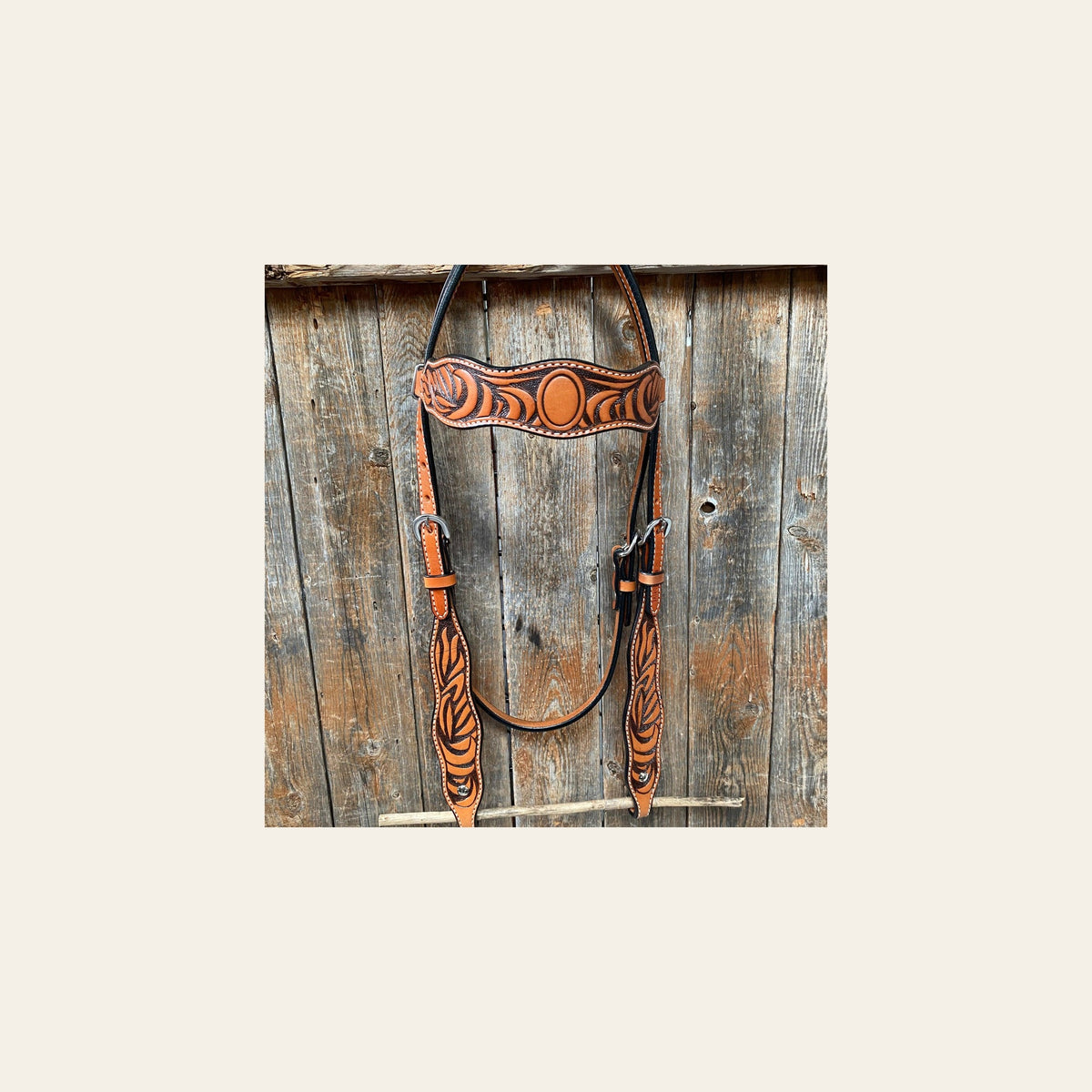Two Tone Zebra Striped Browband Headstall/Bridle #241931 on a warm cream background