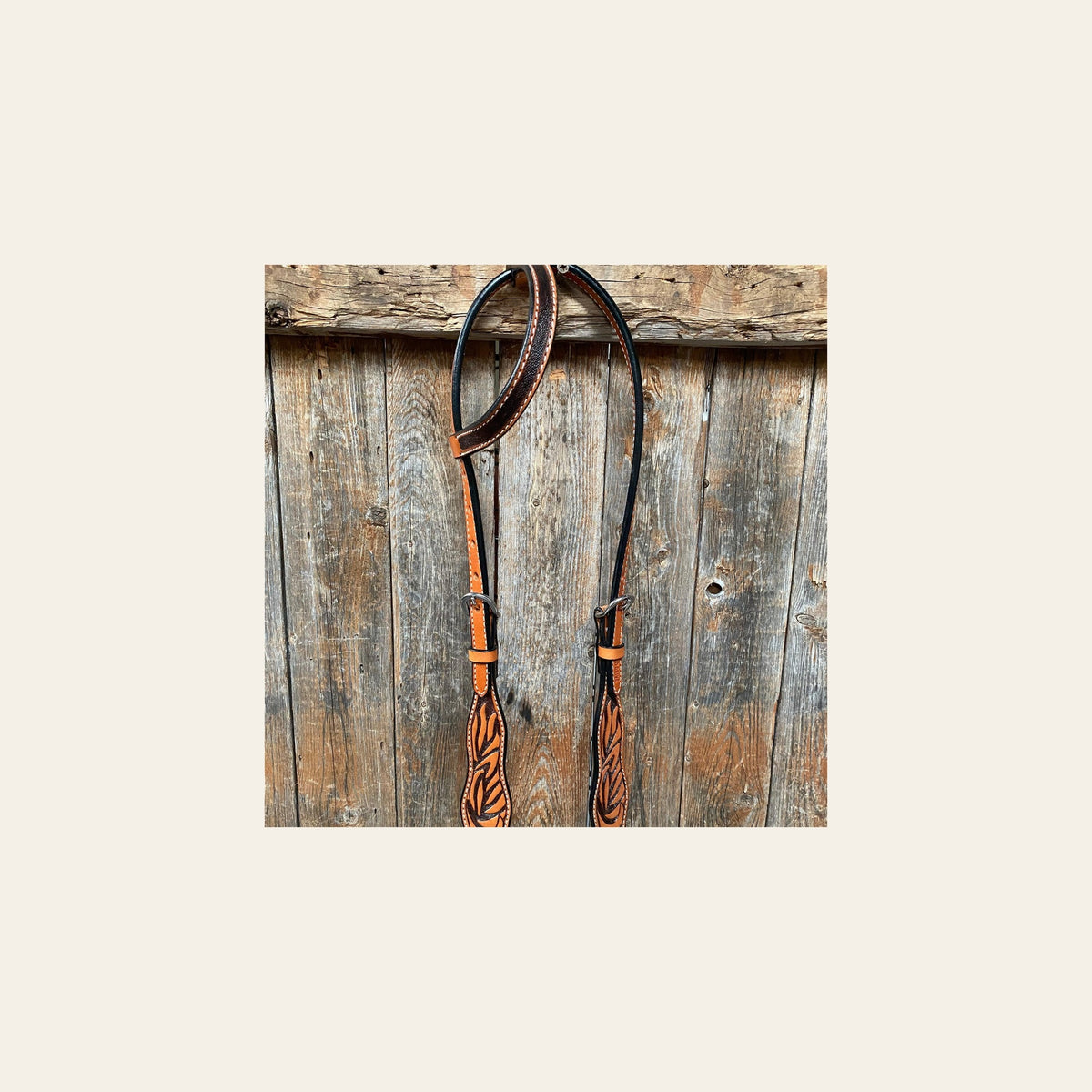 Two Tone Zebra Striped One Ear Headstall/Bridle #241941 on a warm cream background