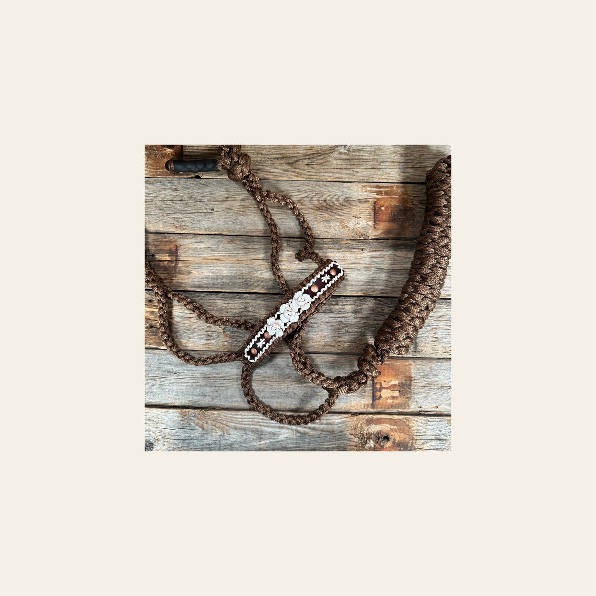 Brown Mule Tape Halter - White Roses #MT223 on a warm cream background