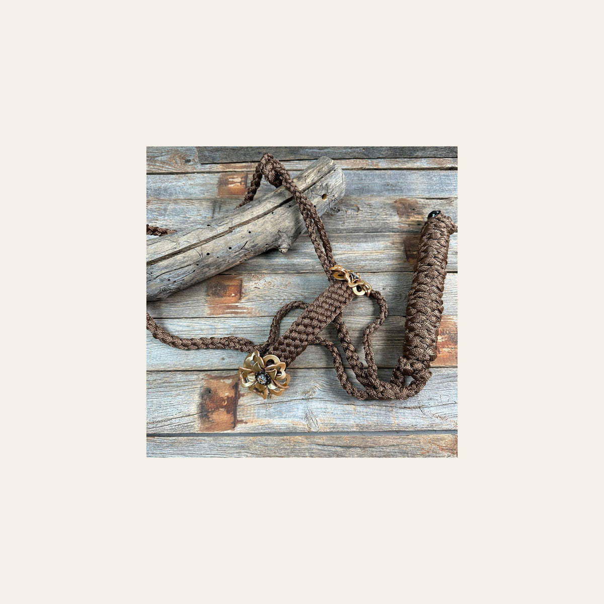 Brown and Gold Mule Tape Halter - #MT121 on a warm cream background