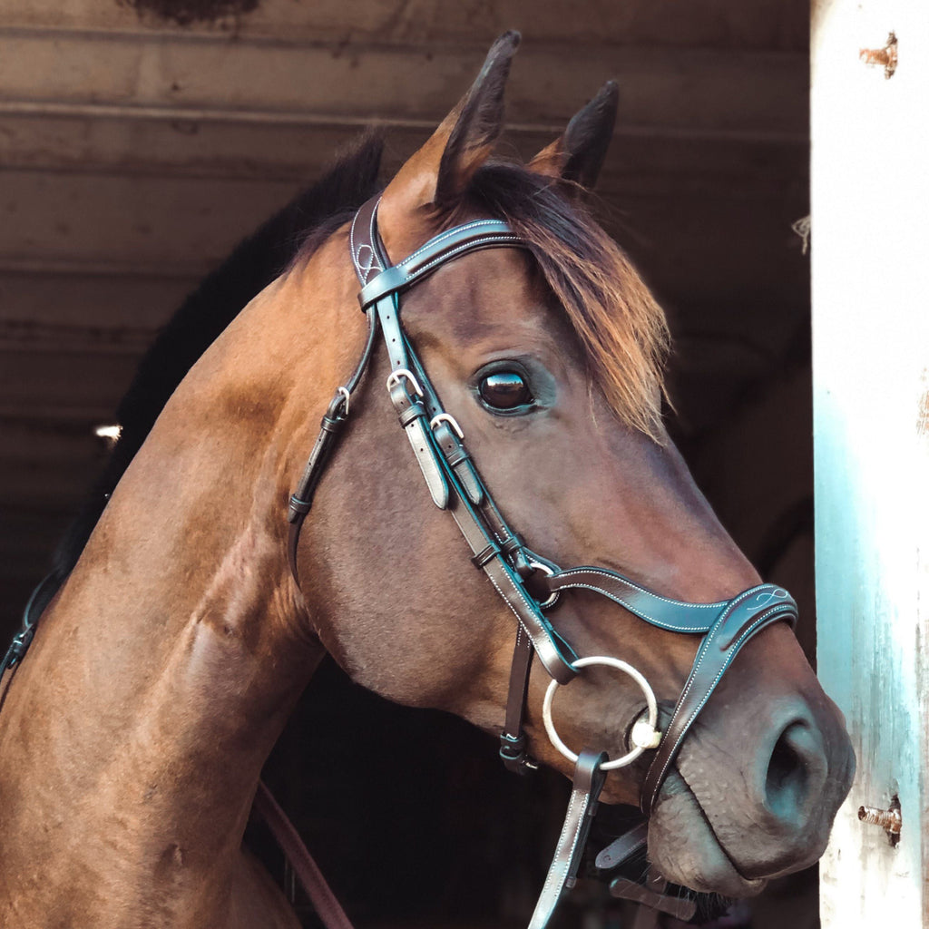 ExionPro Anatomical Drop Noseband Bridle with Reins by Bridles & Reins
